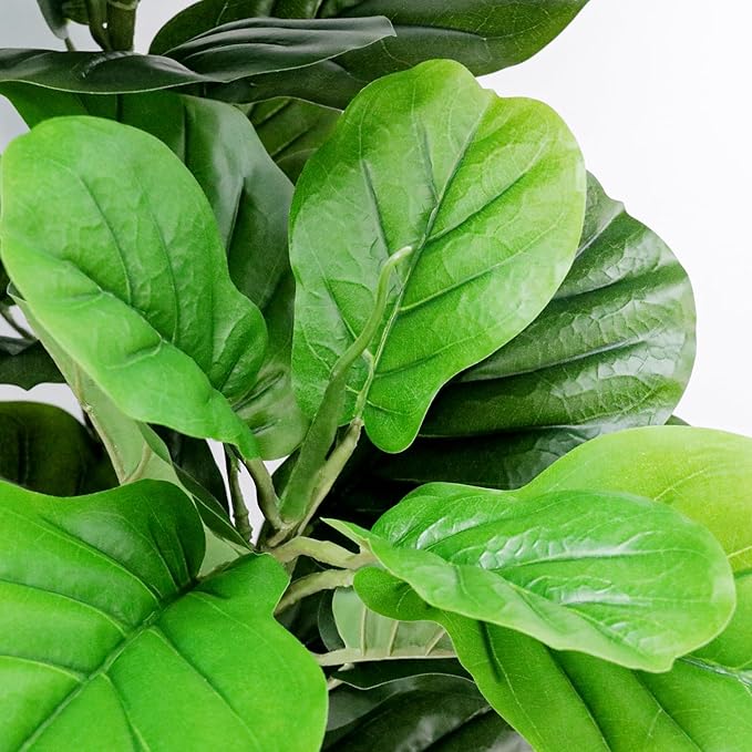ROOMTEC 6ft Artificial Fiddle Leaf Fig Tree in Pot Faux Fiddle Leaf Fig Tree Large Artificial Tree for Indoor Outdoor House Living Room Office Modern Decoration