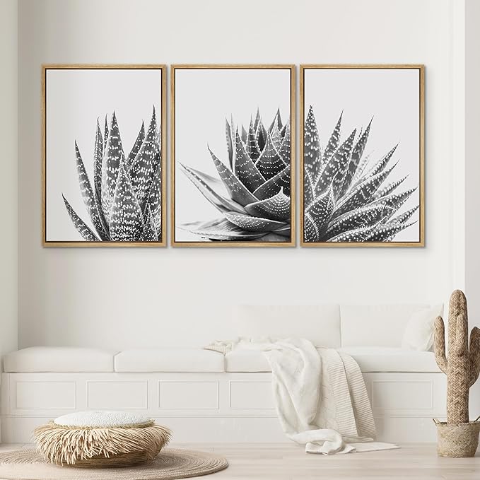 SIGNWIN Framed Wall Art Print Set Trio of Zebra Succulents Floral Plants Photography Modern Art Minimalist Closeup Dramatic Black and White for Living Room, Bedroom, Office - 24"x36"x3 Natural