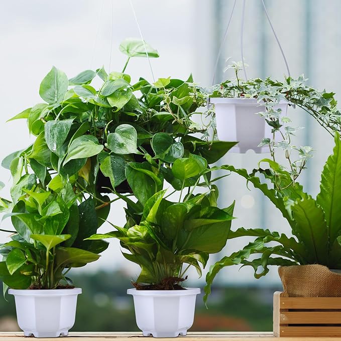 Roshtia 50 Pcs Plastic Hanging Plant Pots with Hooks Flower Pots Baskets Outdoor Hanging Nursery Planter Holder for Home Garden Balcony Porch(Gray White,3.7 inch)