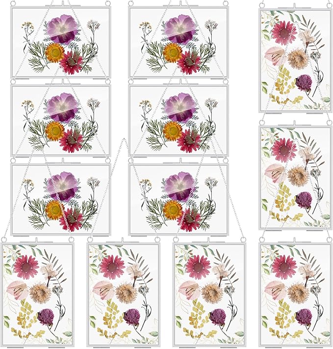 Barydat 12 Pack Pressed Flowers Glass Frames, 5 x 7 Inch Brass Hanging Floating Frame with Chain, Double Glass Photo Display for Dried Flowers, Plant Specimen, Artwork Display (Silver)