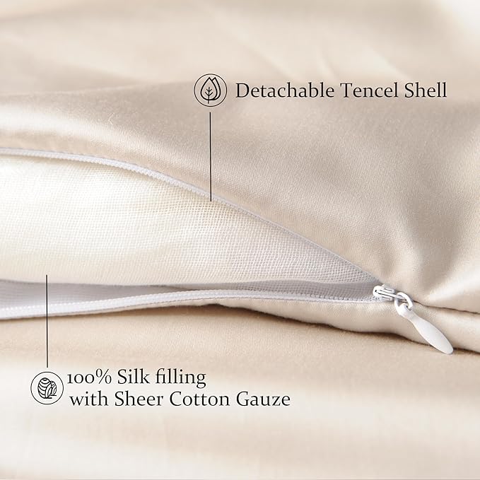 CUDDLE DREAMS Silk Filled Comforter for All Season, Detachable Tencel Duvet Cover for Easy Care, Naturally Breathable (Light Pewter, Queen)