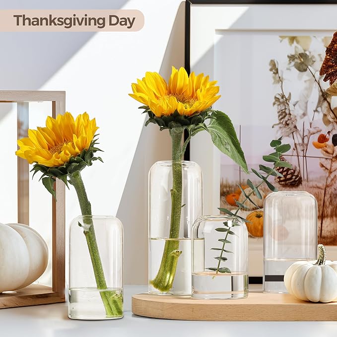 ComSaf Small Flower Vase Set of 6, Glass Bud Vases in Bulk, Clear Vases for Flower, Decor Centerpiece for Office, Decorative Vases for Modern Style, Valentines' Day, Mother's Day, Thanksgiving Day