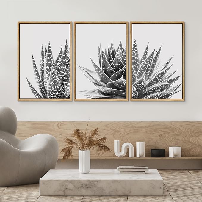 SIGNWIN Framed Wall Art Print Set Trio of Zebra Succulents Floral Plants Photography Modern Art Minimalist Closeup Dramatic Black and White for Living Room, Bedroom, Office - 24"x36"x3 Natural
