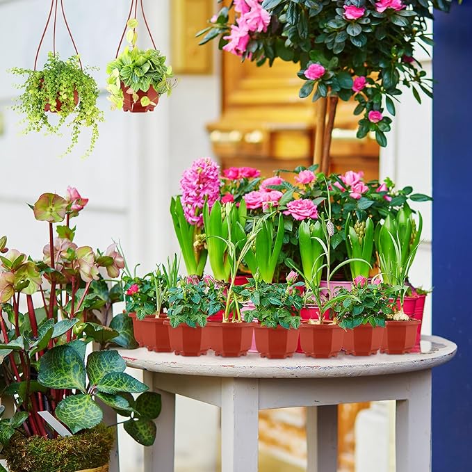 Roshtia 50 Pcs Plastic Hanging Plant Pots with Hooks Flower Pots Baskets Outdoor Hanging Nursery Planter Holder for Home Garden Balcony Porch(Brown,3.7 inch)