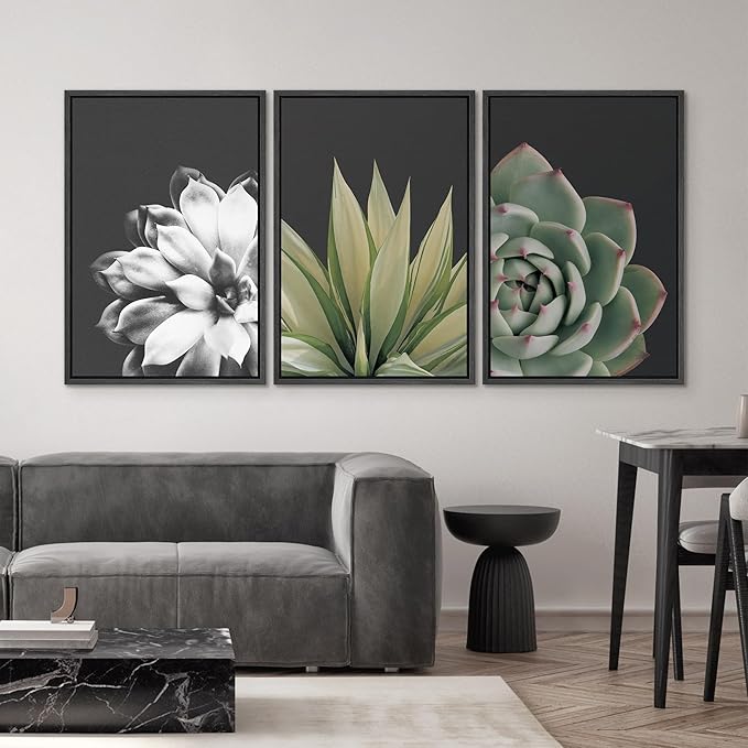 SIGNWIN Framed Wall Art Print Set Echeveria Succulent Variety Nature Plants Photography Modern Art Closeup Relax/Calm Dark Black and White for Living Room, Bedroom, Office - 16"x24"x3 Black