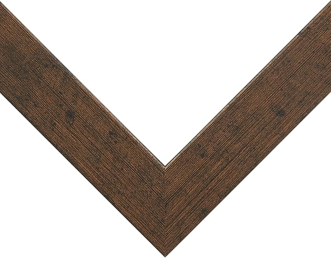 Craig Frames Essentials, Modern 1 Inch Wide 17 x 22 Inch Rustic Copper Picture Frame Matted to Display a 13 x 19 Inch Photo