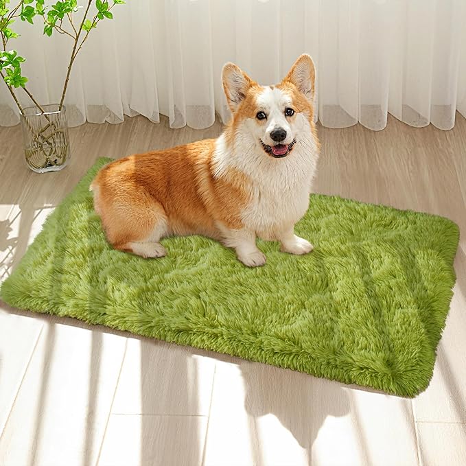 Green Rug for Bedroom, 2x3 Fluffy Area Rugs for Kids Playroom, Furry Carpet for Nursery Room, Shaggy Rug for Teen Living Room, Thick Fuzzy Plush Rug for Dorm, Cute Room Decor for Baby