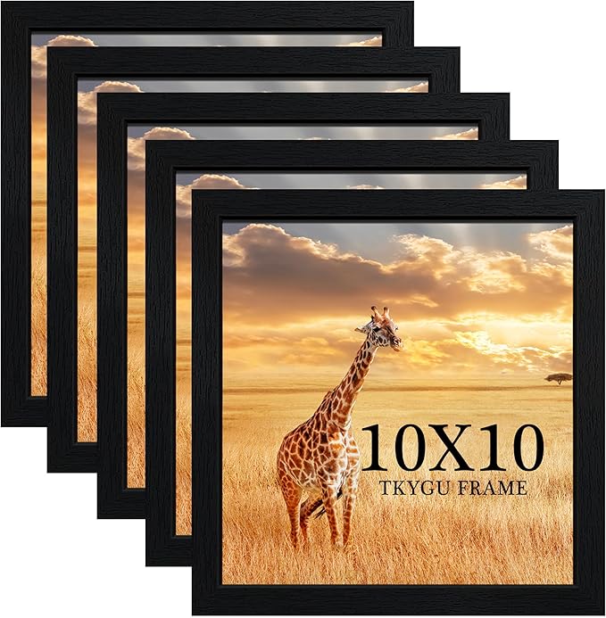 10 x10 Picture Frame Set of 5, Black Wooden Frame 10 x10 Square Wall Gallery Poster Photo frame with Durable Shatter Resistant Plexiglass for Wall Hanging best gift
