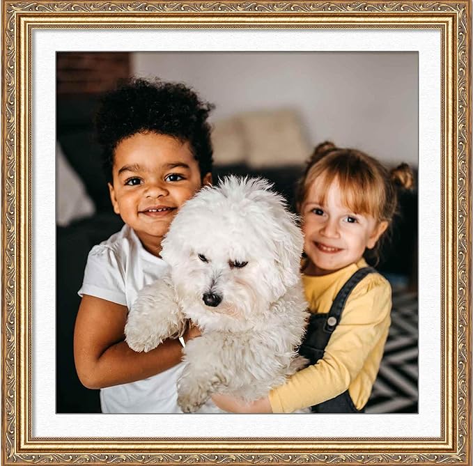 11x11 Frame with Mat - Antique Gold 14x14 Frame Wood Made to Display Print or Poster Measuring 11 x 11 Inches with White Photo Mat