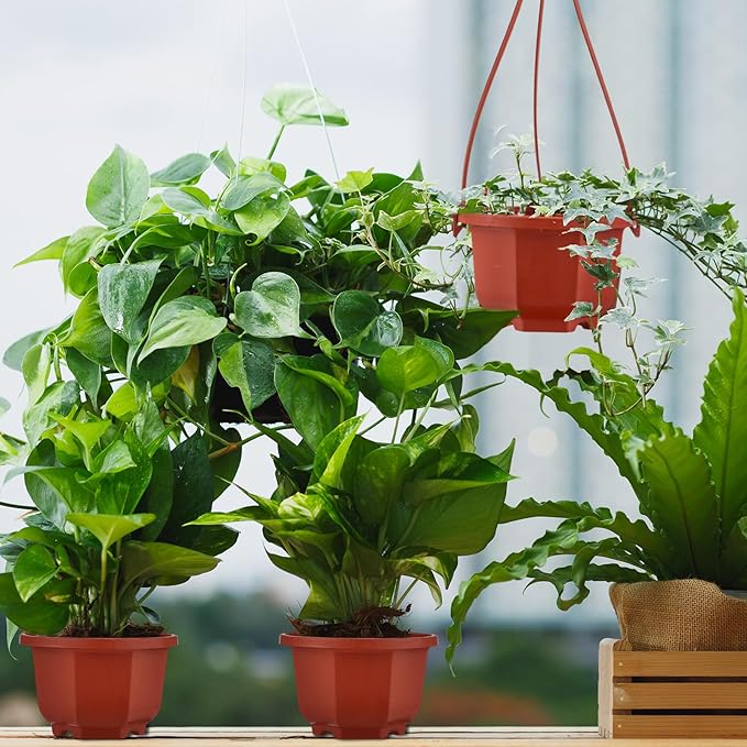 Roshtia 50 Pcs Plastic Hanging Plant Pots with Hooks Flower Pots Baskets Outdoor Hanging Nursery Planter Holder for Home Garden Balcony Porch(Brown,3.7 inch)