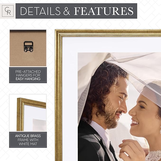 Camden Reed Set of Two Luxe Poster Frames Matted to 16x20 Inches, 20x24 Inch, Brass