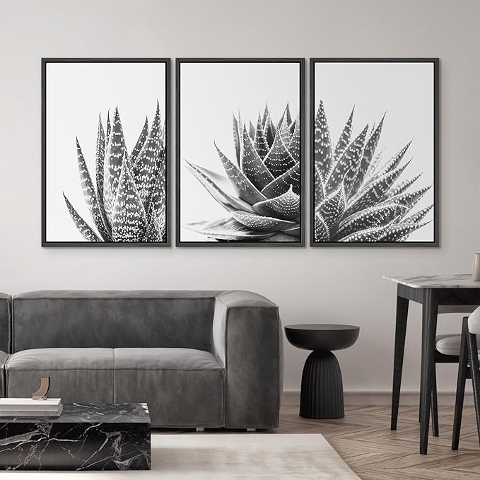SIGNWIN Framed Wall Art Print Set Trio of Zebra Succulents Floral Plants Photography Modern Art Minimalist Closeup Dramatic Black and White for Living Room, Bedroom, Office - 24"x36"x3 Black