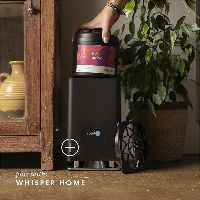 Monthly Fragrance Cartridge for Whisper Home - Black Orchid