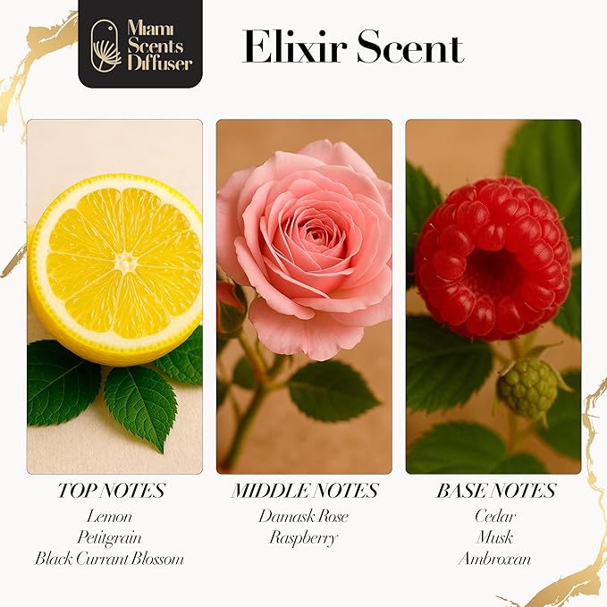 Elixir Scent Inspired by Wynn Las Vegas Hotel 4 Fl Oz - 120 ml - Essential Oils Aroma for Home Office Business Diffuser - Luxury Fragance Refill - Aromatherapy Natural Fresh Blend of Vanilla and Amber