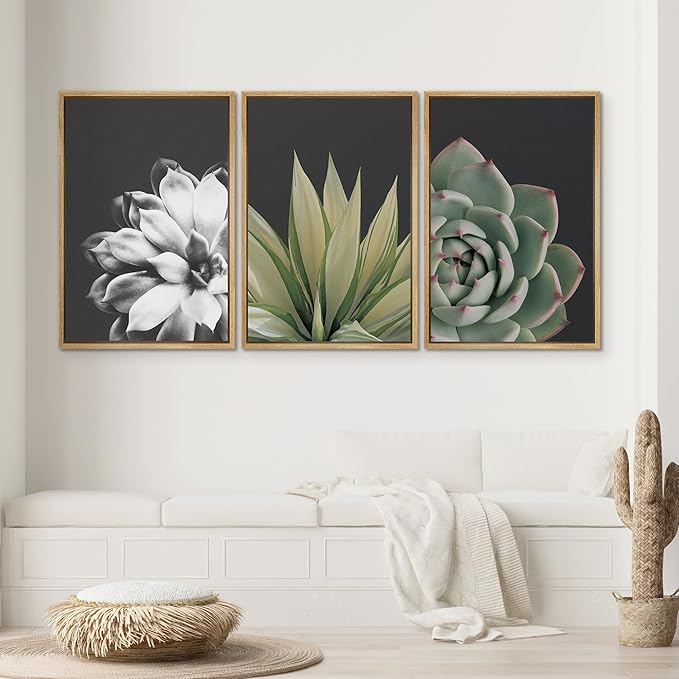 SIGNWIN Framed Wall Art Print Set Echeveria Succulent Variety Nature Plants Photography Modern Art Closeup Relax/Calm Dark Black and White for Living Room, Bedroom, Office - 24"x36"x3 Natural