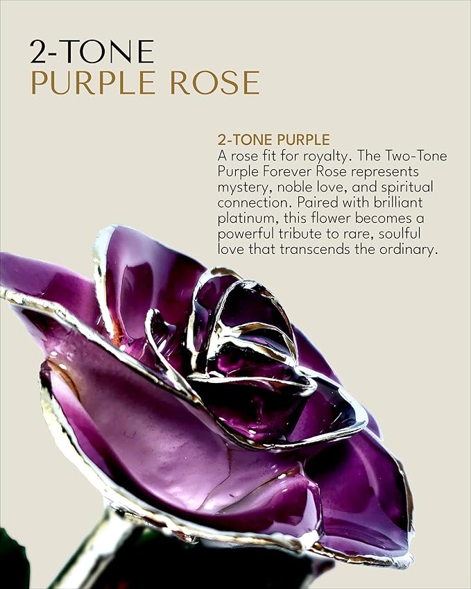 Forever Rose Real 2-Tone Purple Rose with Platinum Trimmed Petals and Platinum Stem, Handcrafted Preserved Rose in Luxury Gold Gift Box, Romantic Gift for Her, Elegant Gift for Any Occasion