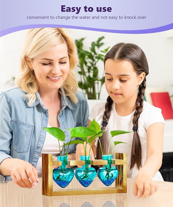 Nacome Plant Terrarium for Office Decor: Birthday Gifts for Plant Lovers Women Mom Wife - Wooden Stand Tabletop Planter 3 Bulb Glass Vase Heart Shaped for Hydroponics Indoor Home