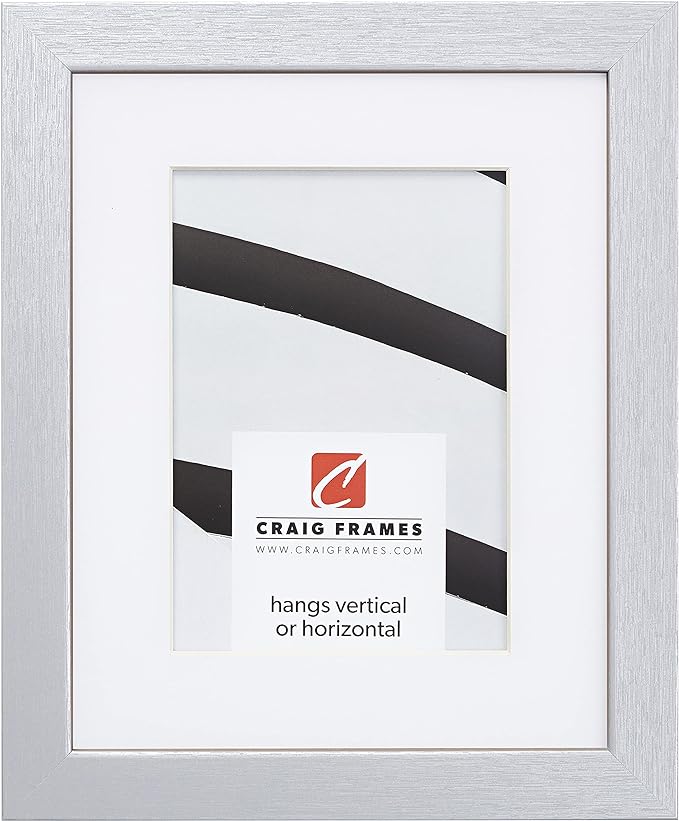 Craig Frames Essentials, Modern 1 Inch Wide 24 x 36 Inch Brushed Silver Picture Frame Matted to Display a 20 x 30 Inch Photo