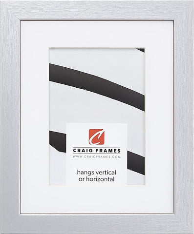 Craig Frames Essentials, Modern 1 Inch Wide 24 x 32 Inch Brushed Silver Picture Frame Matted to Display a 20 x 28 Inch Photo