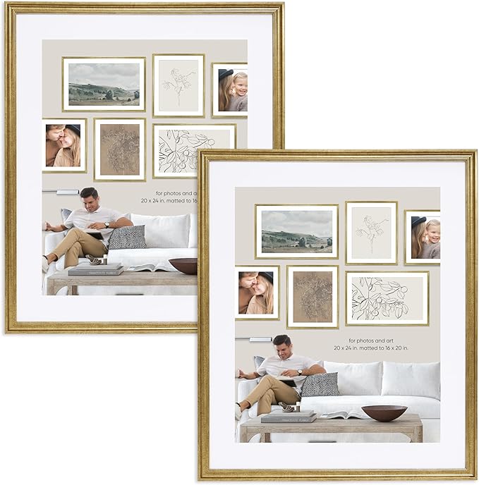 Camden Reed Set of Two Luxe Poster Frames Matted to 16x20 Inches, 20x24 Inch, Brass