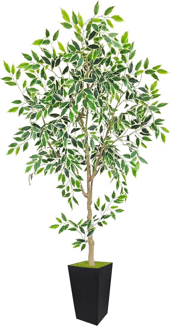 Artificial Ficus Plant 6ft, Faux Tree with Black Tall Planter, Fake Ficus Leaves Trees in Pot, Artificial Floor Plants for Home Living Room Office Garden Balcony Foyer Decor Indoor