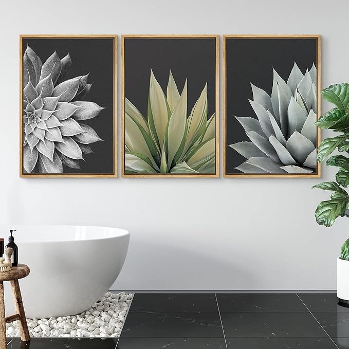 SIGNWIN Framed Canvas Print Wall Art Trio of Echevaria Succulents Floral Plants Photography Modern Art Minimalist Closeup Dramatic Black and White for Living Room, Bedroom, Office - 24"x36"x3 Natural
