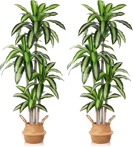 Artificial Plants, 6 Ft Dracaena Tree Faux Plants Indoor Outdoor Decor Fake Tree with Woven Seagrass Basket Plants for Home Decor Office Living Room Porch Patio Housewarming 2 Pack
