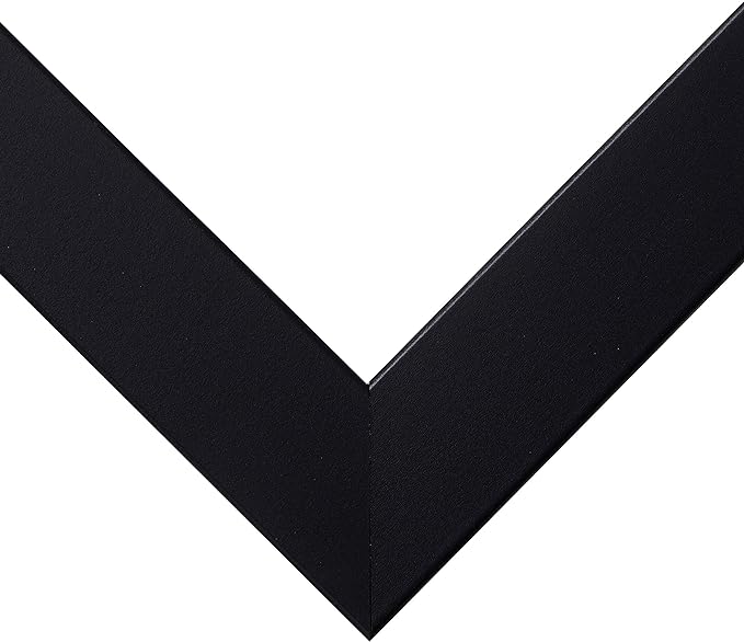 Craig Frames Essentials, Modern 1 Inch Wide 20 x 30 Inch Black Picture Frame Matted to Display a 16 x 24 Inch Photo