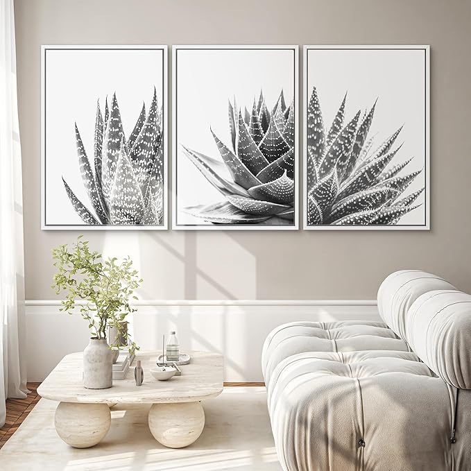 SIGNWIN Framed Wall Art Print Set Trio of Zebra Succulents Floral Plants Photography Modern Art Minimalist Closeup Dramatic Black and White for Living Room, Bedroom, Office - 24"x36"x3 White