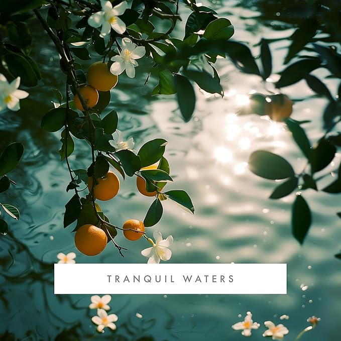 Monthly Fragrance Cartridge for Whisper Home - Tranquil Waters