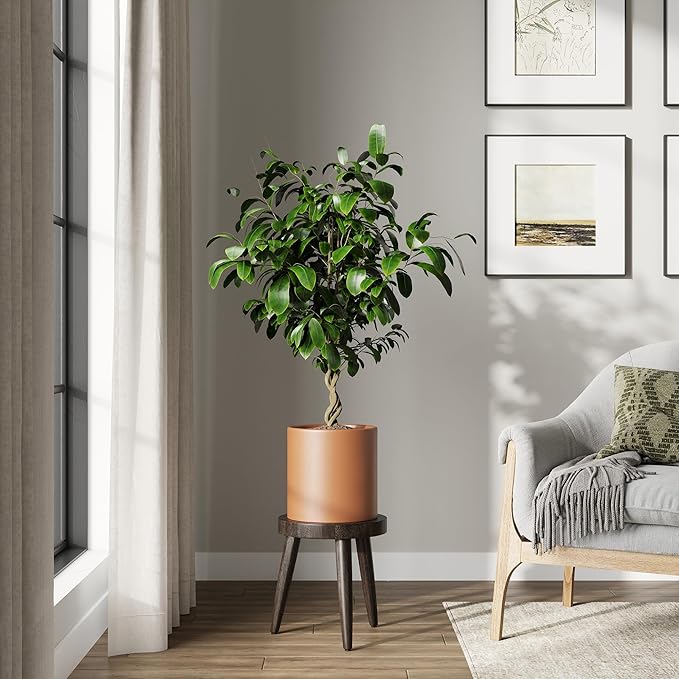 DTY Signature Mount Powell Fiberstone Planter - 10 Inch Small Terracotta Cylindrical Mid-Century Modern Home Decor Indoor & Outdoor Plant Pot - Durable Planters for Indoor Plants, Outdoor Spaces