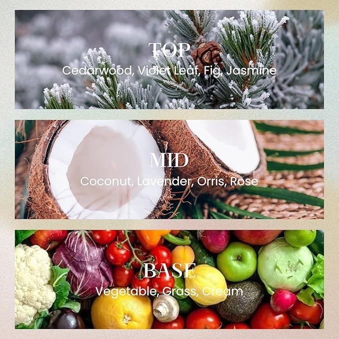 M&SENSE 10.14 oz Large Reed Diffuser Set | Under The Fig Scent Home Oil Diffuser with Sticks |Hotel Collection Non-Toxic Essential Oil |for Bedroom Bathroom Living Room