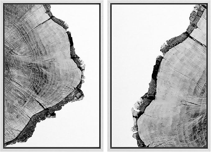 SIGNWIN Framed Wall Art Print Set Black & White Close Up Tree Ring Details Nature Wilderness Photography Modern Art Rustic Relax/Calm Multicolor for Living Room, Bedroom, Office - 16"x24"x2 White