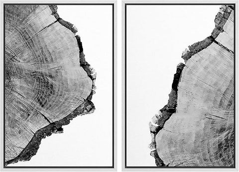 SIGNWIN Framed Wall Art Print Set Black & White Close Up Tree Ring Details Nature Wilderness Photography Modern Art Rustic Relax/Calm Multicolor for Living Room, Bedroom, Office - 16"x24"x2 White