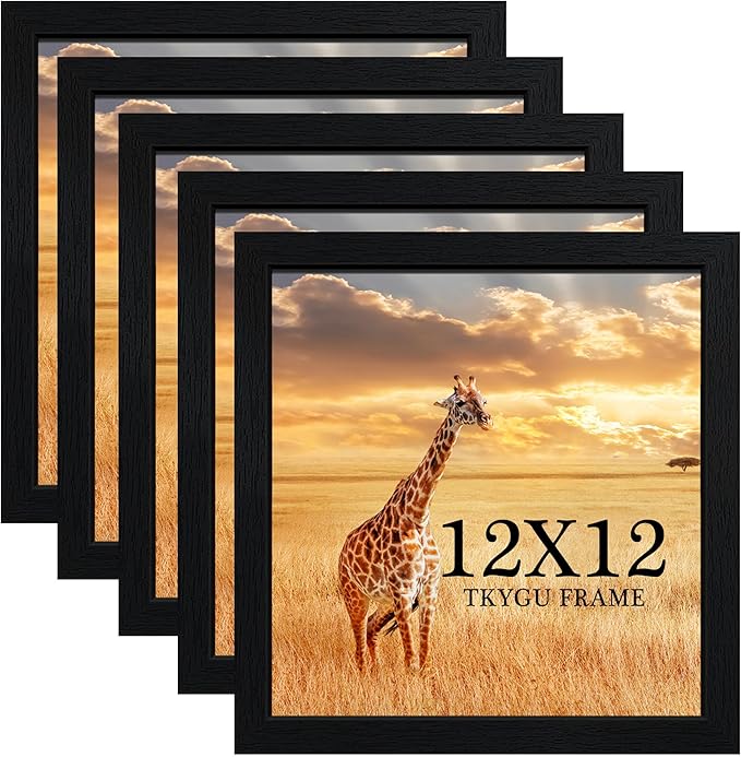 12x12 Picture Frame Set of 5, Black Wooden Frame 12x12 Square Wall Gallery Poster Photo frame with Durable Shatter Resistant Plexiglass,Horizontal and Vertical Formats for Wall Hanging best gift