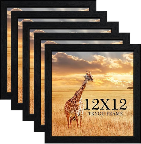 12x12 Picture Frame Set of 5, Black Wooden Frame 12x12 Square Wall Gallery Poster Photo frame with Durable Shatter Resistant Plexiglass,Horizontal and Vertical Formats for Wall Hanging best gift