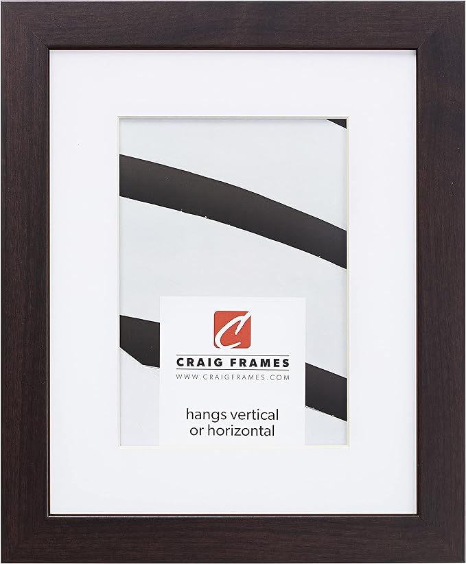 Craig Frames Essentials, Modern 1 Inch Wide 19 x 25 Inch Brazilian Walnut Picture Frame Matted to Display a 14 x 20 Inch Photo