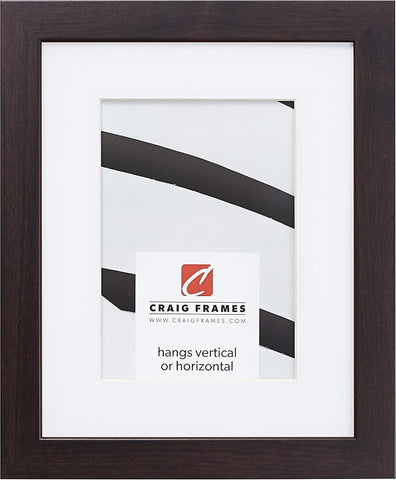 Craig Frames Essentials, Modern 1 Inch Wide 20 x 26 Inch Brazilian Walnut Picture Frame Matted to Display a 16 x 22 Inch Photo