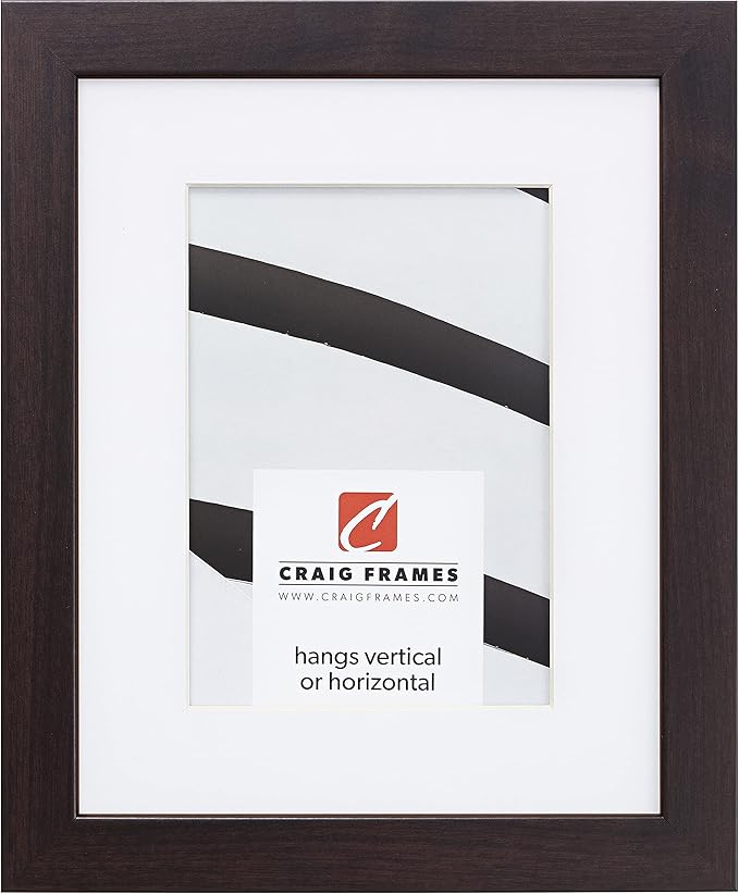 Craig Frames Essentials, Modern 1 Inch Wide 20 x 26 Inch Brazilian Walnut Picture Frame Matted to Display a 16 x 22 Inch Photo
