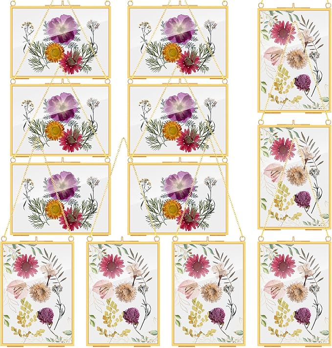 Barydat 12 Pack Pressed Flowers Glass Frames, 5 x 7 Inch Brass Hanging Floating Frame with Chain, Double Glass Photo Display for Dried Flowers, Plant Specimen, Artwork Display (Gold)