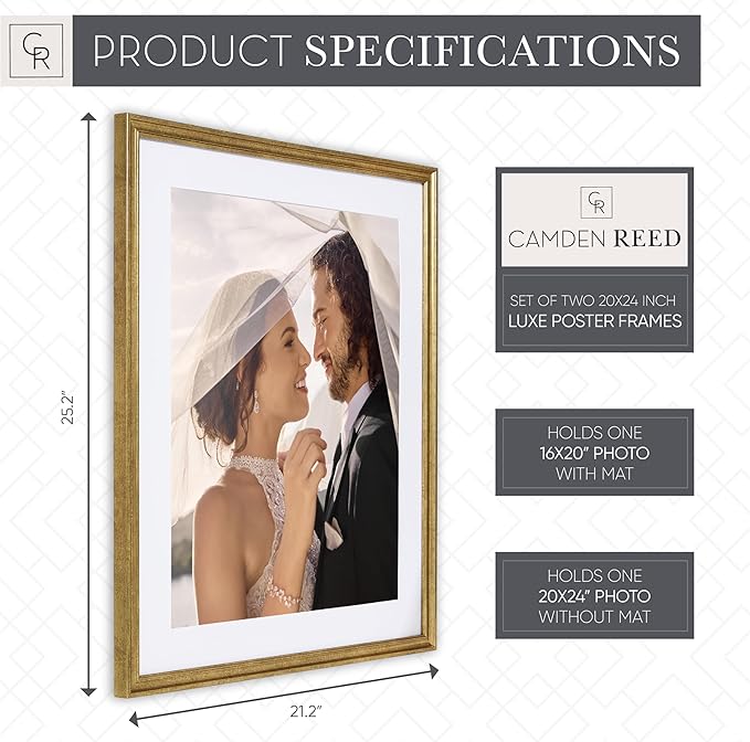 Camden Reed Set of Two Luxe Poster Frames Matted to 16x20 Inches, 20x24 Inch, Brass