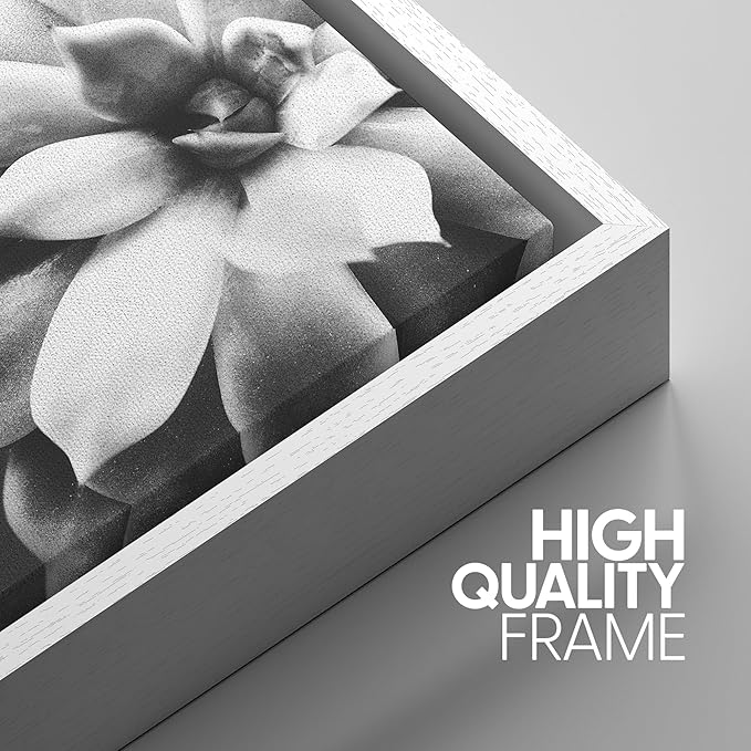SIGNWIN Framed Wall Art Print Set Echeveria Succulent Variety Nature Plants Photography Modern Art Closeup Relax/Calm Dark Black and White for Living Room, Bedroom, Office - 16"x24"x3 White