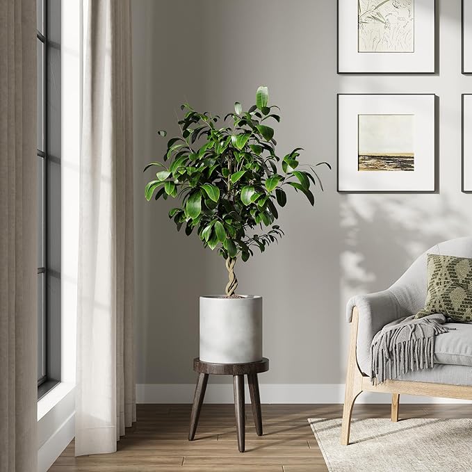 DTY Signature Mount Powell Fiberstone Planter - 10 Inch Small Gray Cylindrical Mid-Century Modern Home Decor Indoor & Outdoor Plant Pot - Durable Planters for Indoor Plants, Outdoor Spaces