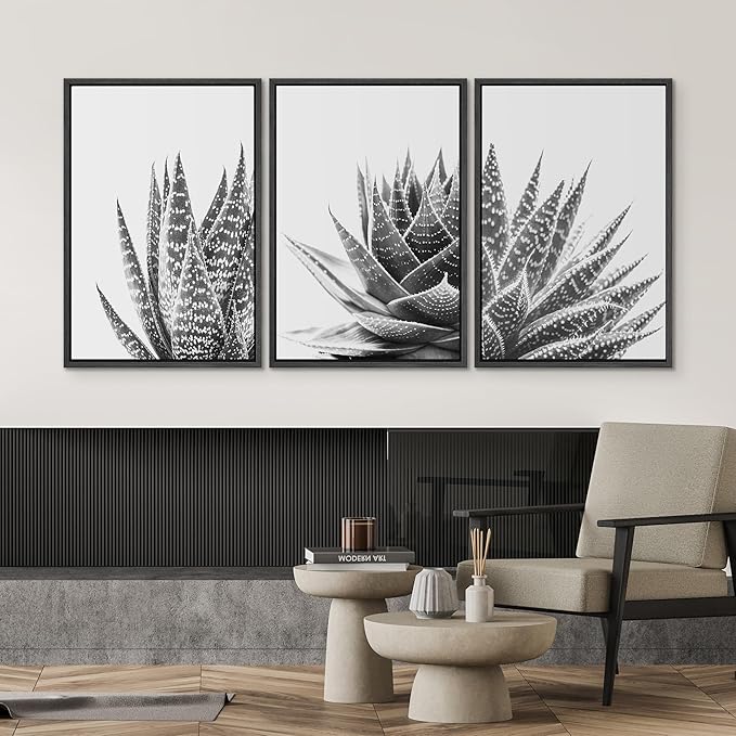 SIGNWIN Framed Wall Art Print Set Trio of Zebra Succulents Floral Plants Photography Modern Art Minimalist Closeup Dramatic Black and White for Living Room, Bedroom, Office - 24"x36"x3 Black