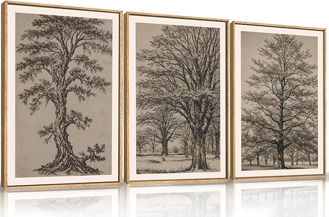 HOURIA Vintage Tree Sketch Framed Canvas Wall Art Set,Retro Neutral Botanical Wall Decor,Mid Century Woodland Drawings Artwork,Nature Antique Forest Art Print for Living Room,Bedroom,Office- 16"x24"x3