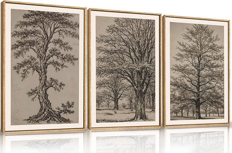 HOURIA Vintage Tree Sketch Framed Canvas Wall Art Set,Retro Neutral Botanical Wall Decor,Mid Century Woodland Drawings Artwork,Nature Antique Forest Art Print for Living Room,Bedroom,Office- 16"x24"x3