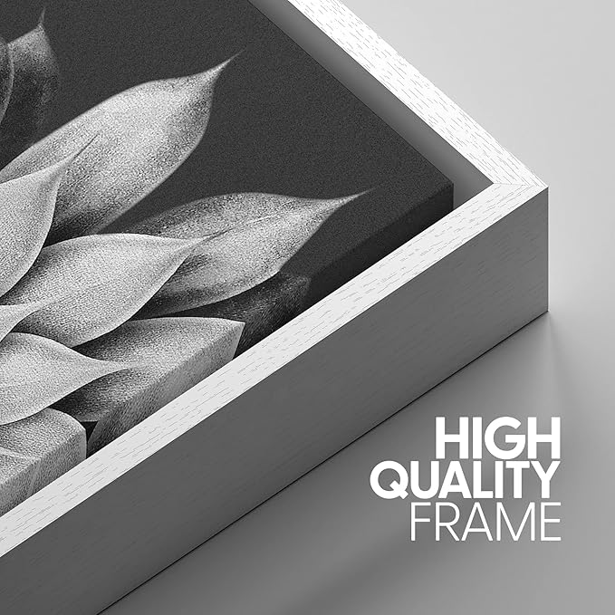 SIGNWIN Framed Canvas Print Wall Art Trio of Echevaria Succulents Floral Plants Photography Modern Art Minimalist Closeup Dramatic Black and White for Living Room, Bedroom, Office - 16"x24"x3 White