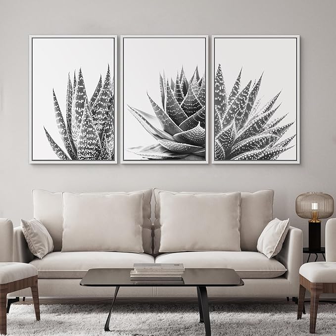 SIGNWIN Framed Wall Art Print Set Trio of Zebra Succulents Floral Plants Photography Modern Art Minimalist Closeup Dramatic Black and White for Living Room, Bedroom, Office - 24"x36"x3 White