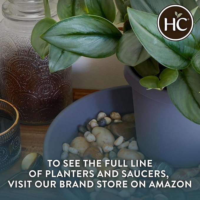 The HC Companies Classic Round Plastic Plant Pot w/Rolled Rim - Lightweight & UV Resistant Flower Pot for Herbs & More - Outdoor & Indoor Plant Pots w/Drainage (11.5 inch Chocolate, Pack of 1)