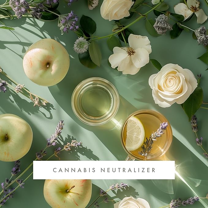 Monthly Fragrance Cartridge for Whisper Home - Cannabis Neutralizer